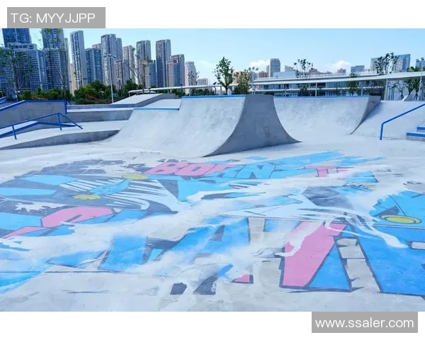 武汉飞盘队在滑板精英赛中的心理素质表现分析与点评