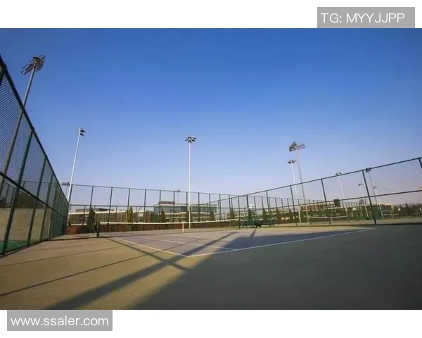 西安网球队意识争议引发热议球员表现与团队精神的深度探讨