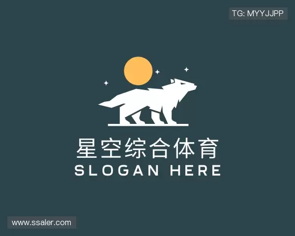 解读星空综合体育